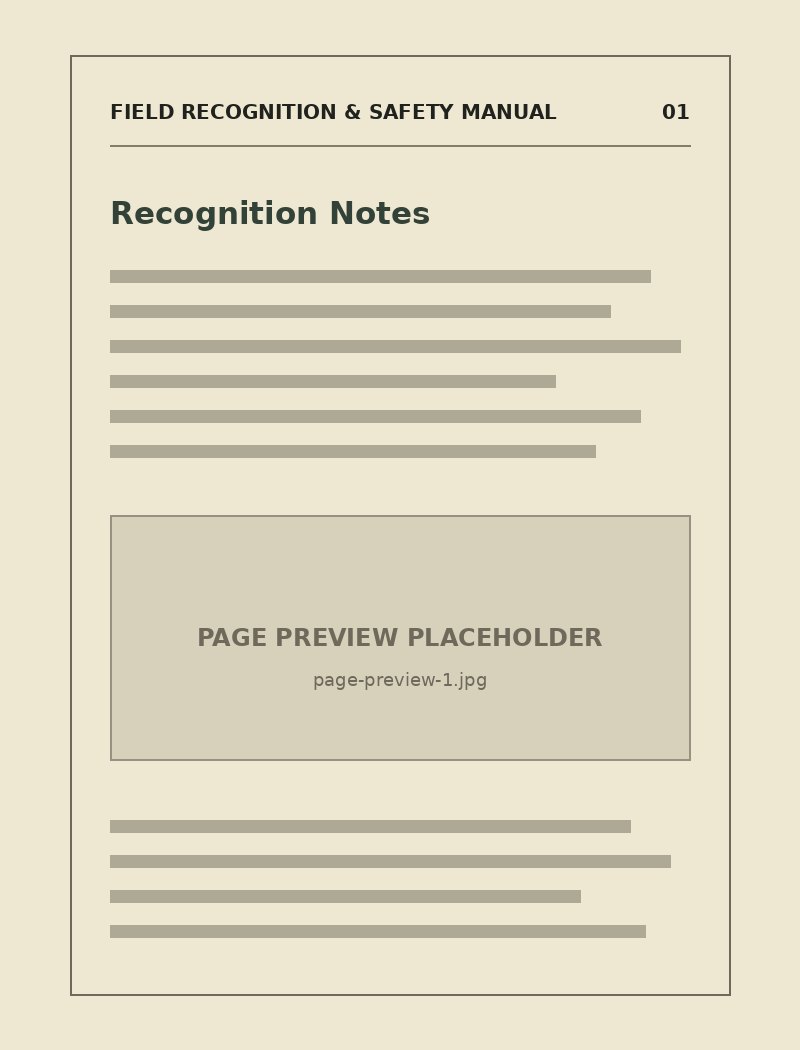 Placeholder manual preview page 1