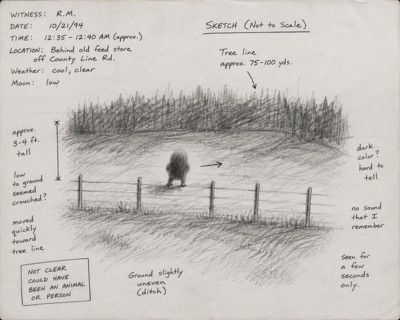 Unattributed witness field sketch showing a low upright form near a fence line